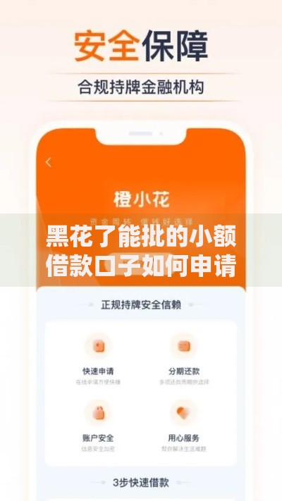 黑花了能批的小额借款口子如何申请？条件流程全解析