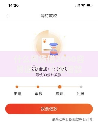 什么网贷借2000容易通过？小额借款审核攻略解析