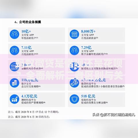 蚂蚁微贷是借呗还是花呗？全面解析二者区别与关联