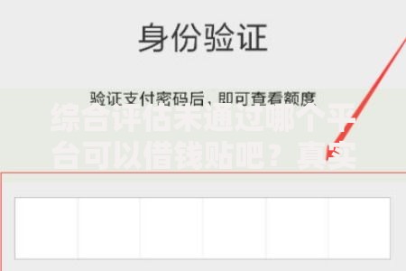 综合评估未通过哪个平台可以借钱贴吧？真实经验解析