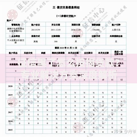 征信黑了怎么按揭贷款？专业解决方案深度解析