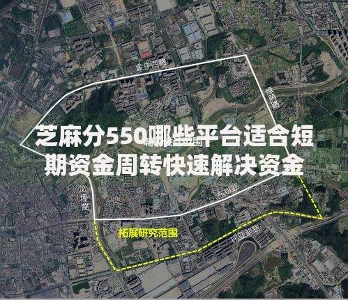 芝麻分550哪些平台适合短期资金周转快速解决资金难题