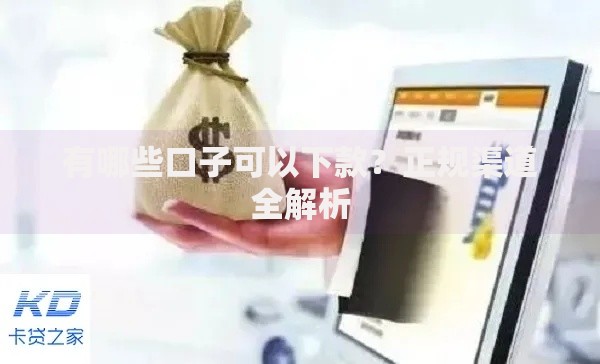 有哪些口子可以下款？正规渠道全解析