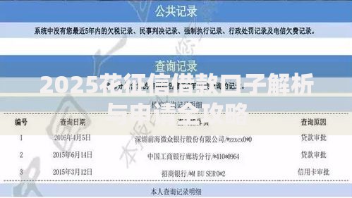 2025花征信借款口子解析与申请全攻略