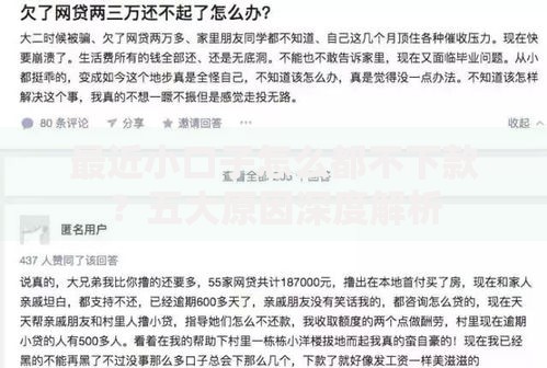 最近小口子怎么都不下款?五大原因深度解析 最近小口子怎么都不下款?五大原因深度解析