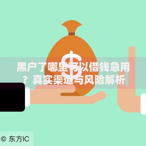 黑户了哪里可以借钱急用？真实渠道与风险解析