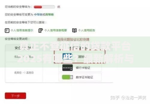 真正不查征信的贷款平台2025有哪些？最新解析与避坑指南