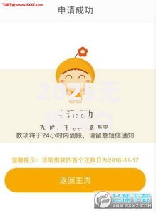 2025无视黑白必下款的新口子有哪些正规平台？