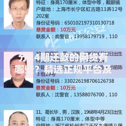 分24期还款的网贷有哪些？精选正规平台及申请要点解析