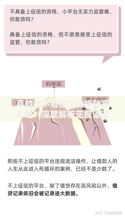 真的有不看征信的贷款平台吗？深度解析正规渠道与风险防范