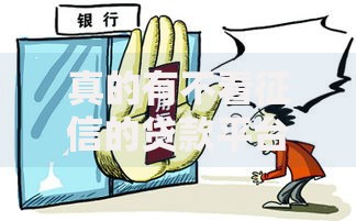 真的有不看征信的贷款平台吗？深度解析正规渠道与风险防范