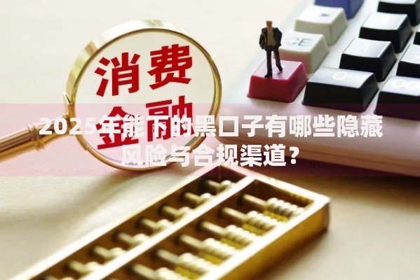 2025年能下的黑口子有哪些隐藏风险与合规渠道？