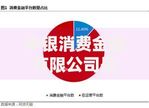 中银消费金融有限公司是哪个网贷平台