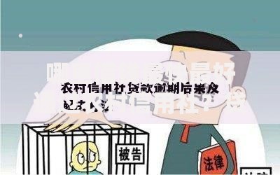 哪里借钱最快最好通过农村信用社？贷款攻略全解析