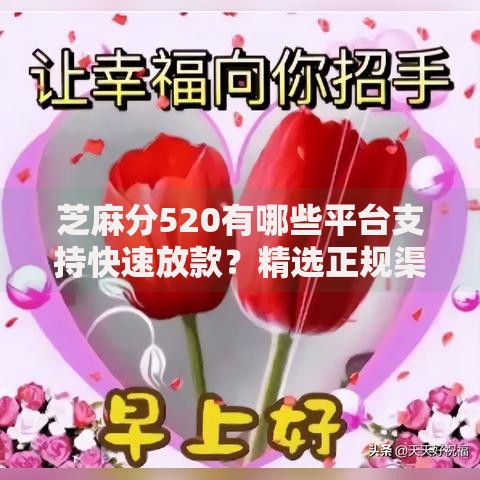 芝麻分520有哪些平台支持快速放款？精选正规渠道解析