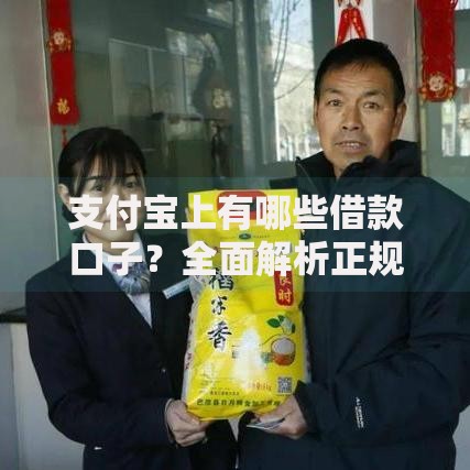 支付宝上有哪些借款口子？全面解析正规贷款渠道