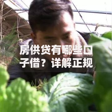 房供贷有哪些口子借？详解正规渠道及申请条件