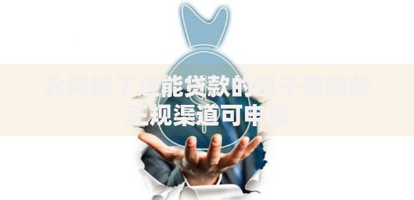 北风控了还能贷款的口子有哪些正规渠道可申请