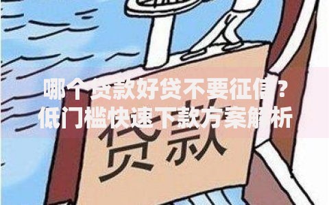 哪个贷款好贷不要征信？低门槛快速下款方案解析