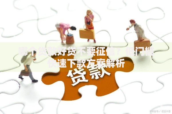 哪个贷款好贷不要征信？低门槛快速下款方案解析