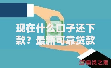 现在什么口子还下款？最新可靠贷款渠道解析