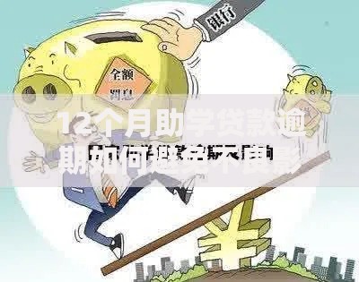 12个月助学贷款逾期如何避免不良影响？全面解析应对方案