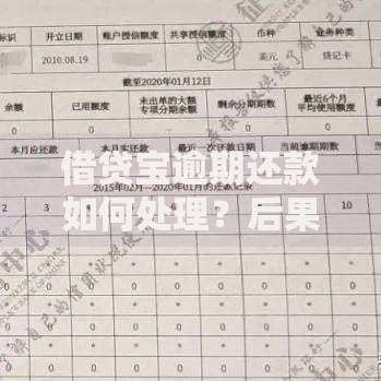 借贷宝逾期还款如何处理？后果及解决办法全解析