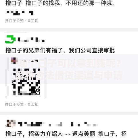 哪个口子可以拿到钱呢？解析合法借贷渠道与申请技巧