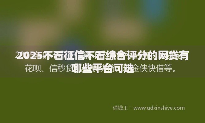 2025不看征信不看综合评分的网贷有哪些平台可选 2025不看征信不看综合评分的网贷有哪些平台可选