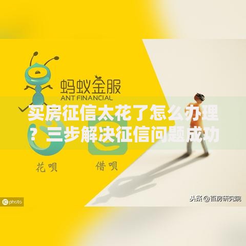 买房征信太花了怎么办理？三步解决征信问题成功贷款