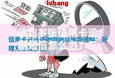 收到多张信用卡逾期短信怎么办？三大应对策略助你止损