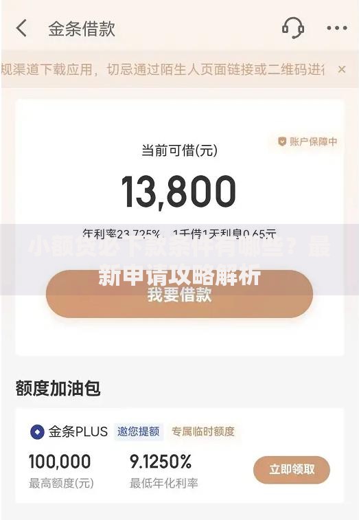 小额贷必下款条件有哪些？最新申请攻略解析