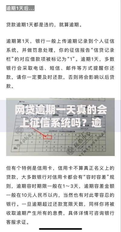 网贷逾期一天真的会上征信系统吗？逾期规则深度解析