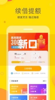 新口子_放水秒批：如何快速通过审核获得贷款？