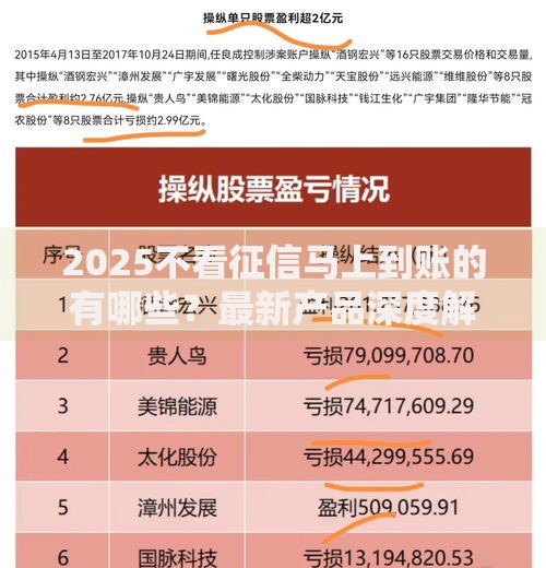 2025不看征信马上到账的有哪些？最新产品深度解析