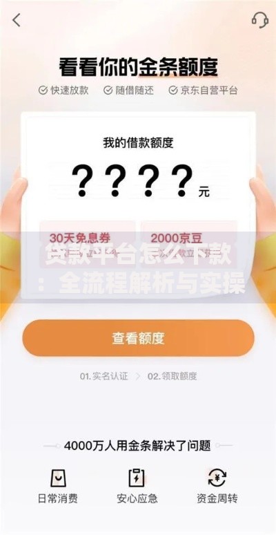 贷款平台怎么下款：全流程解析与实操指南