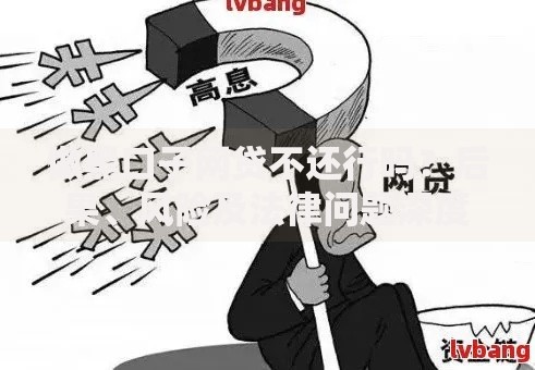 做黑口子网贷不还行吗？后果、风险及法律问题深度解析