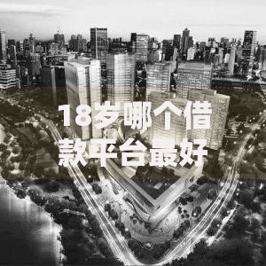 18岁哪个借款平台最好放款？最新正规渠道推荐指南