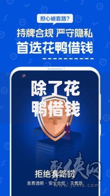 除了花鸭借钱还有什么软件不用看信用的小额贷款推荐