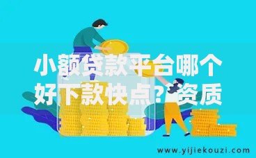 小额贷款平台哪个好下款快点？资质门槛与审核流程解析