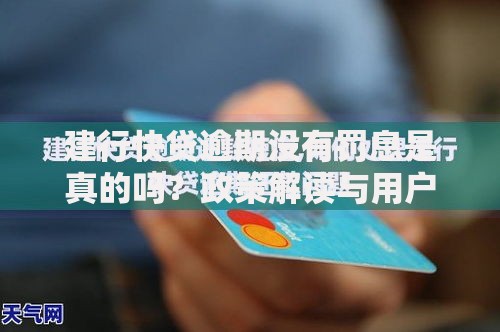 建行快贷逾期没有罚息是真的吗？政策解读与用户应对