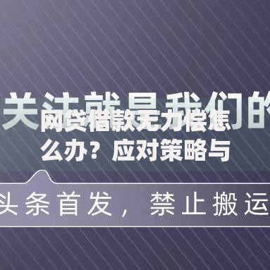 网贷借款无力偿怎么办?应对策略与法律保护深度指南 网贷借款无力偿怎么办?应对策略与法律保护深度指南