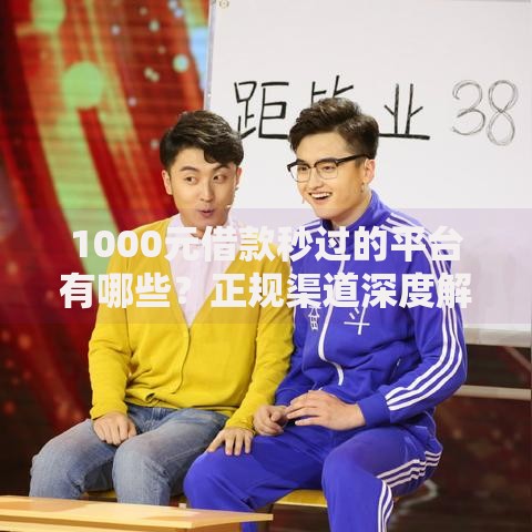 1000元借款秒过的平台有哪些？正规渠道深度解析