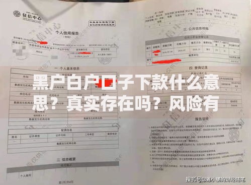 黑户白户口子下款什么意思？真实存在吗？风险有哪些？