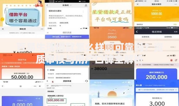 百易生活借款怎么样啊可靠吗？资质审核与用户口碑全解析