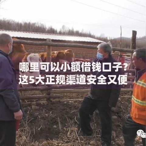 哪里可以小额借钱口子？这5大正规渠道安全又便捷