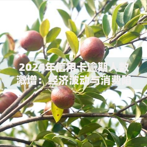 2025年信用卡逾期人数激增：经济波动与消费陷阱如何影响信贷市场？