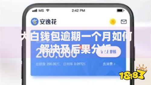 大白钱包逾期一个月如何解决及后果分析