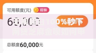 无视黑白100%秒下网贷芝麻金呗如何申请?安全靠谱吗 无视黑白100%秒下网贷芝麻金呗如何申请?安全靠谱吗