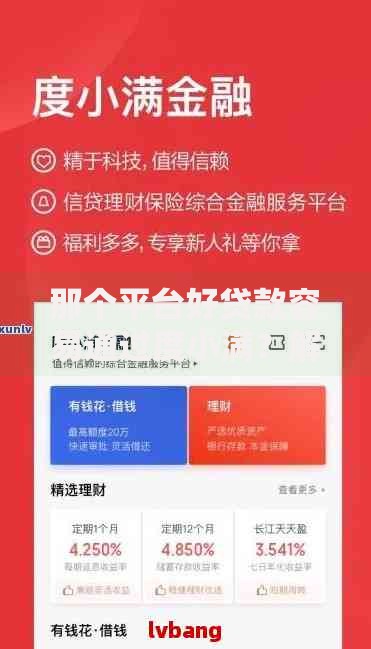 那个平台好贷款容易通过度小满？解析平台优势与申请技巧